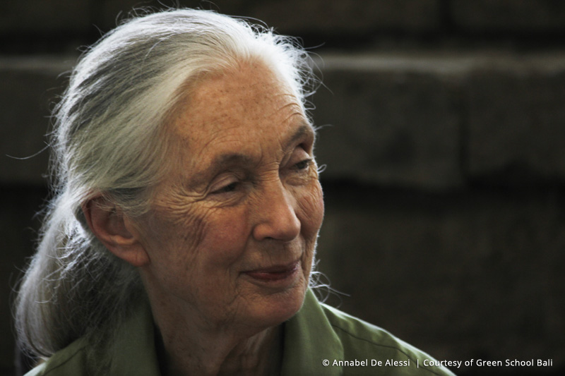 Why do we need people like Jane Goodall?