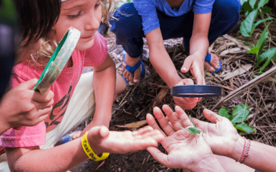 LEARNING IN NATURE AT GREEN SCHOOL