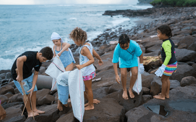 Green School Bali & Parley for the Oceans Launch Free, Ocean Climate Action Course Series